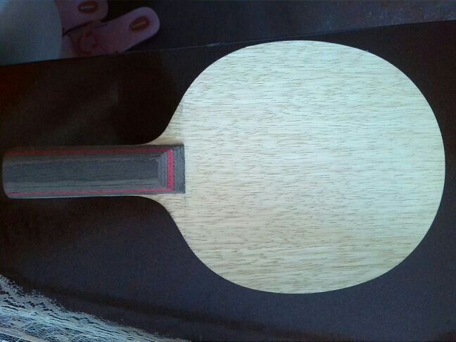 STŷ��CL��Ǯ��������̼��