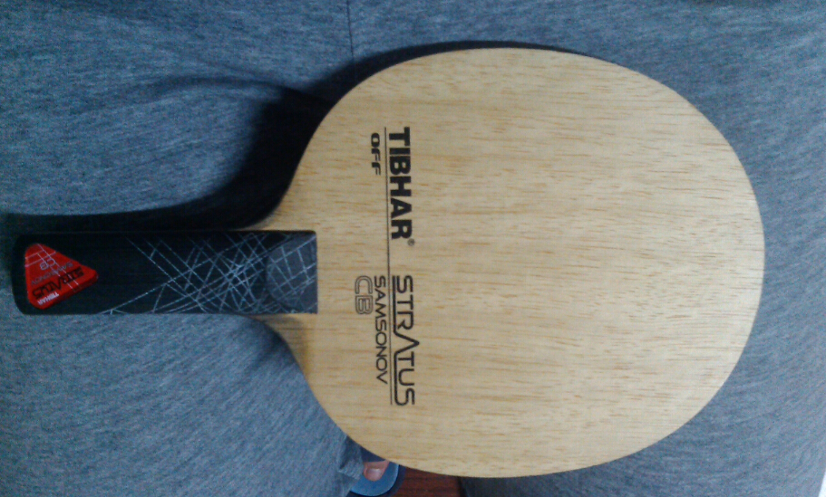 ����ST��̼����Ѫ�ս���ZXI���е�������Ҳ���Լ�Ǯ��