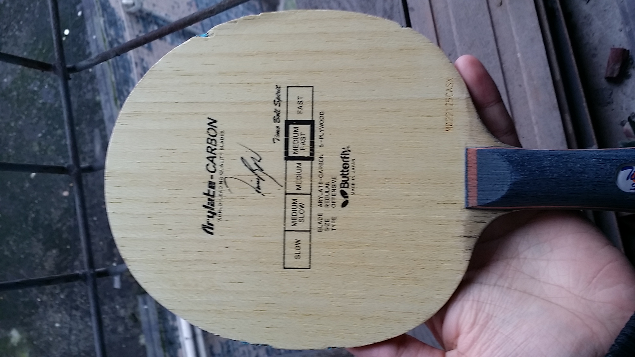 ֹ�ճ���������