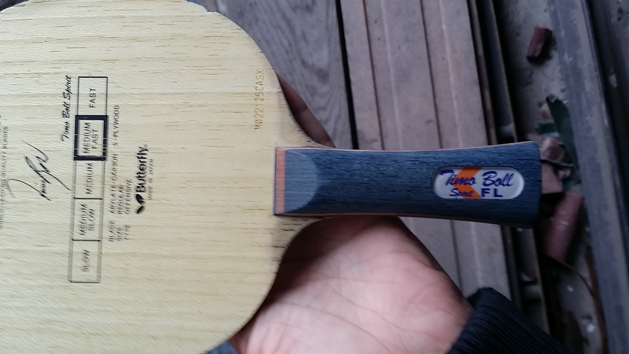 ֹ�ճ���������