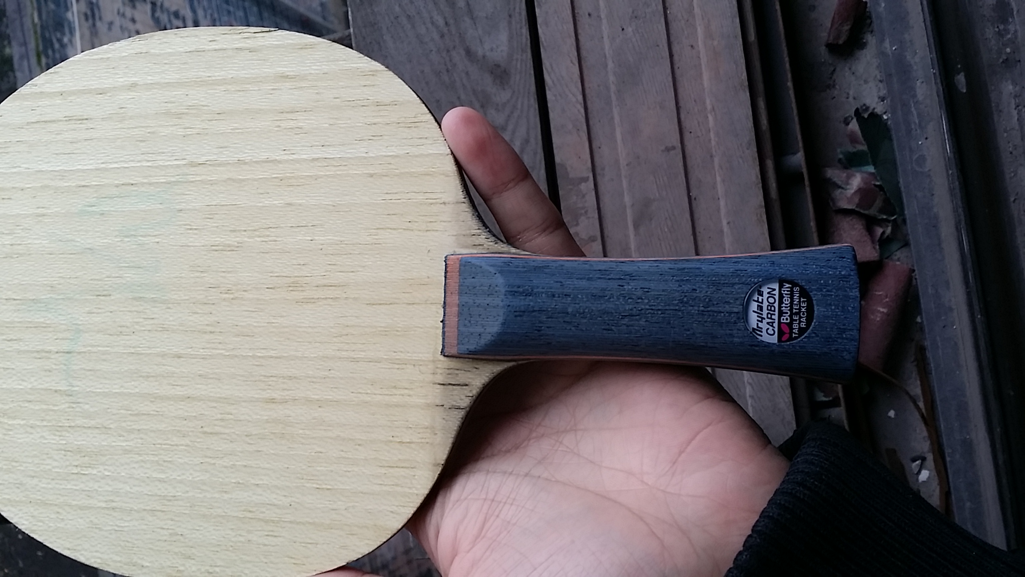 ֹ�ճ���������