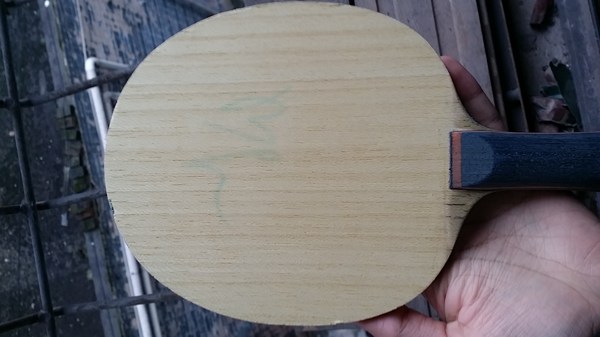 ֹ�ճ���������