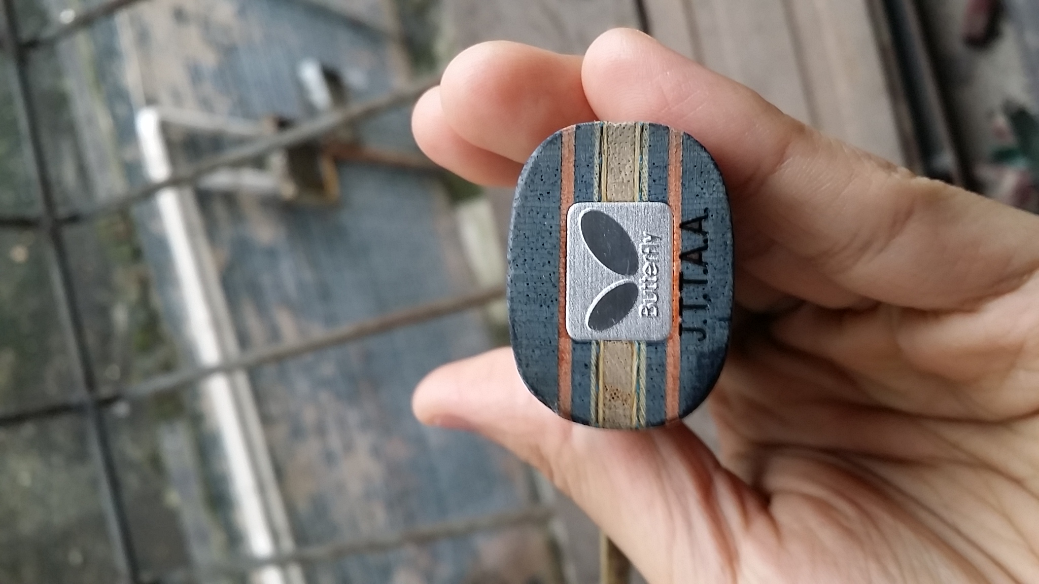 ֹ�ճ���������