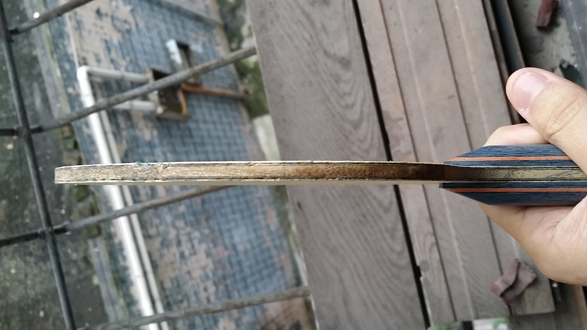 ֹ�ճ���������