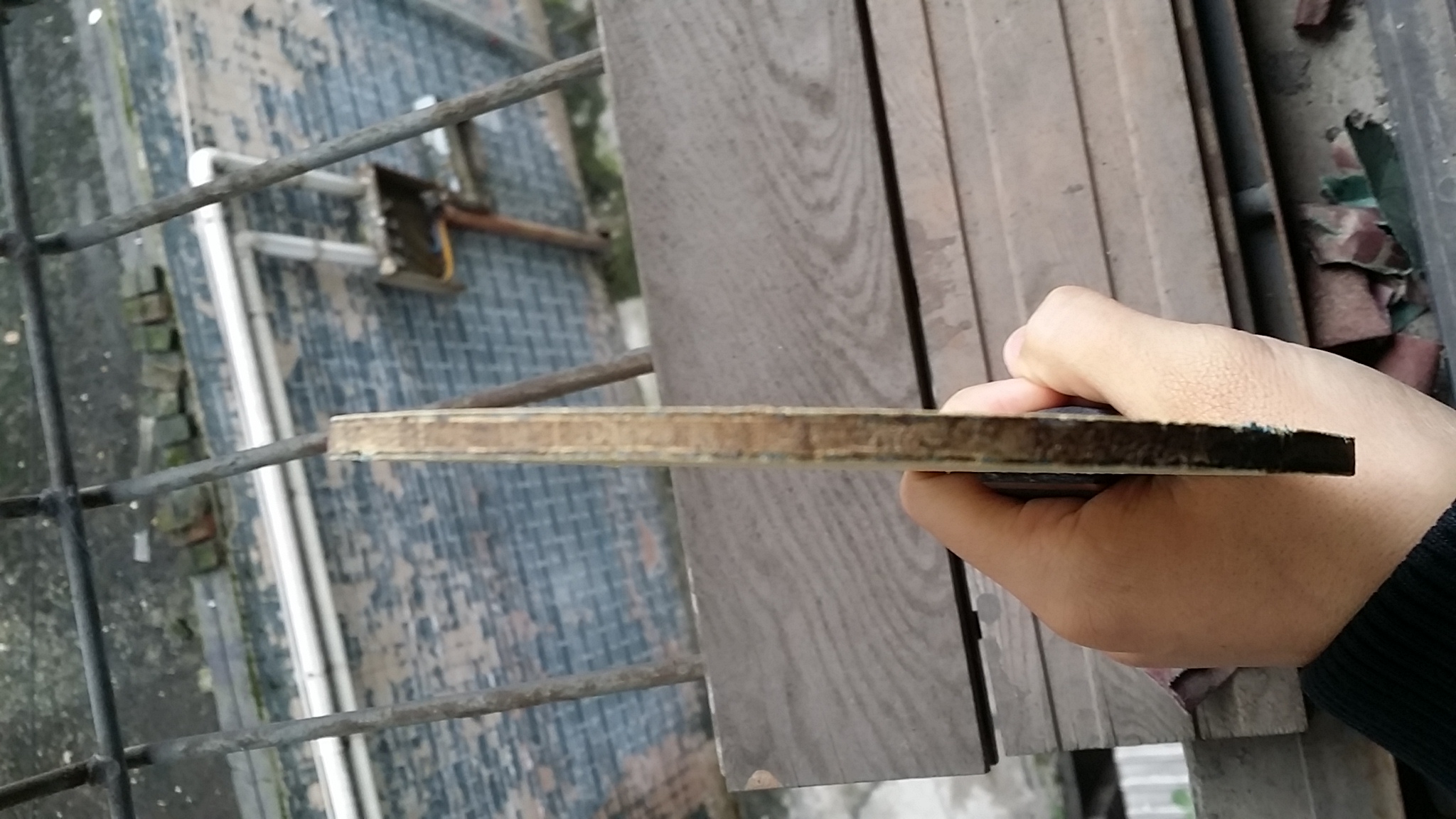 ֹ�ճ���������