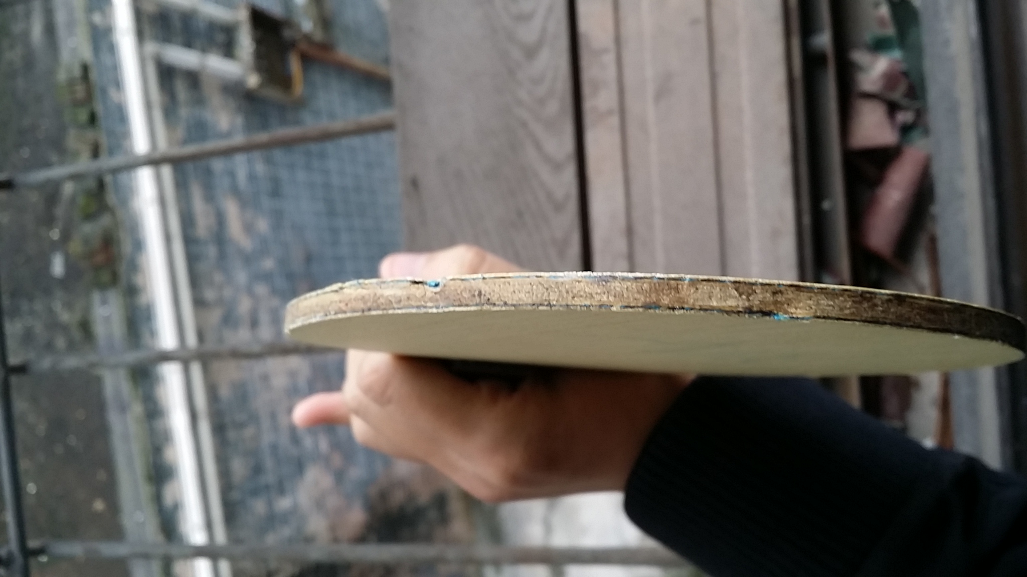 ֹ�ճ���������