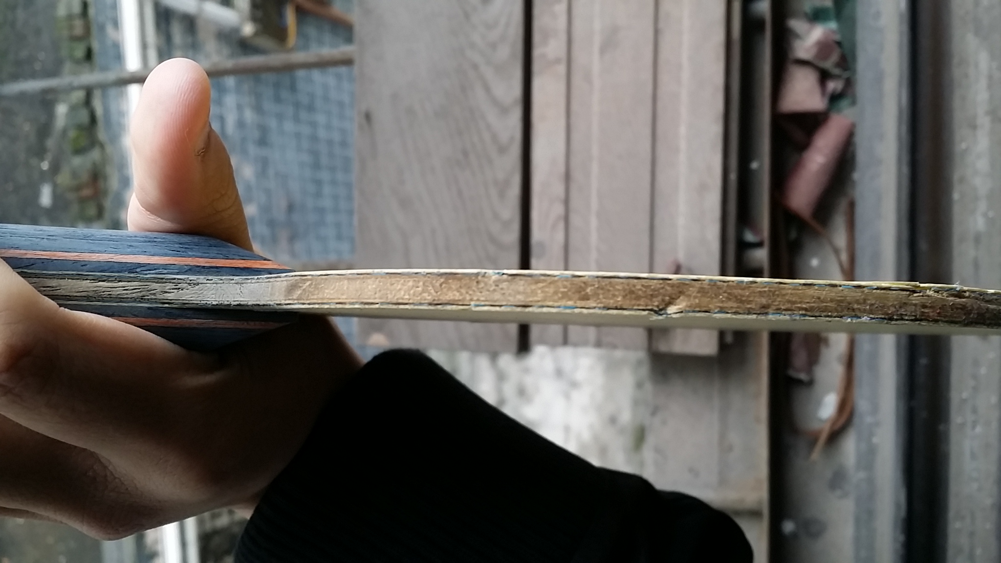 ֹ�ճ���������