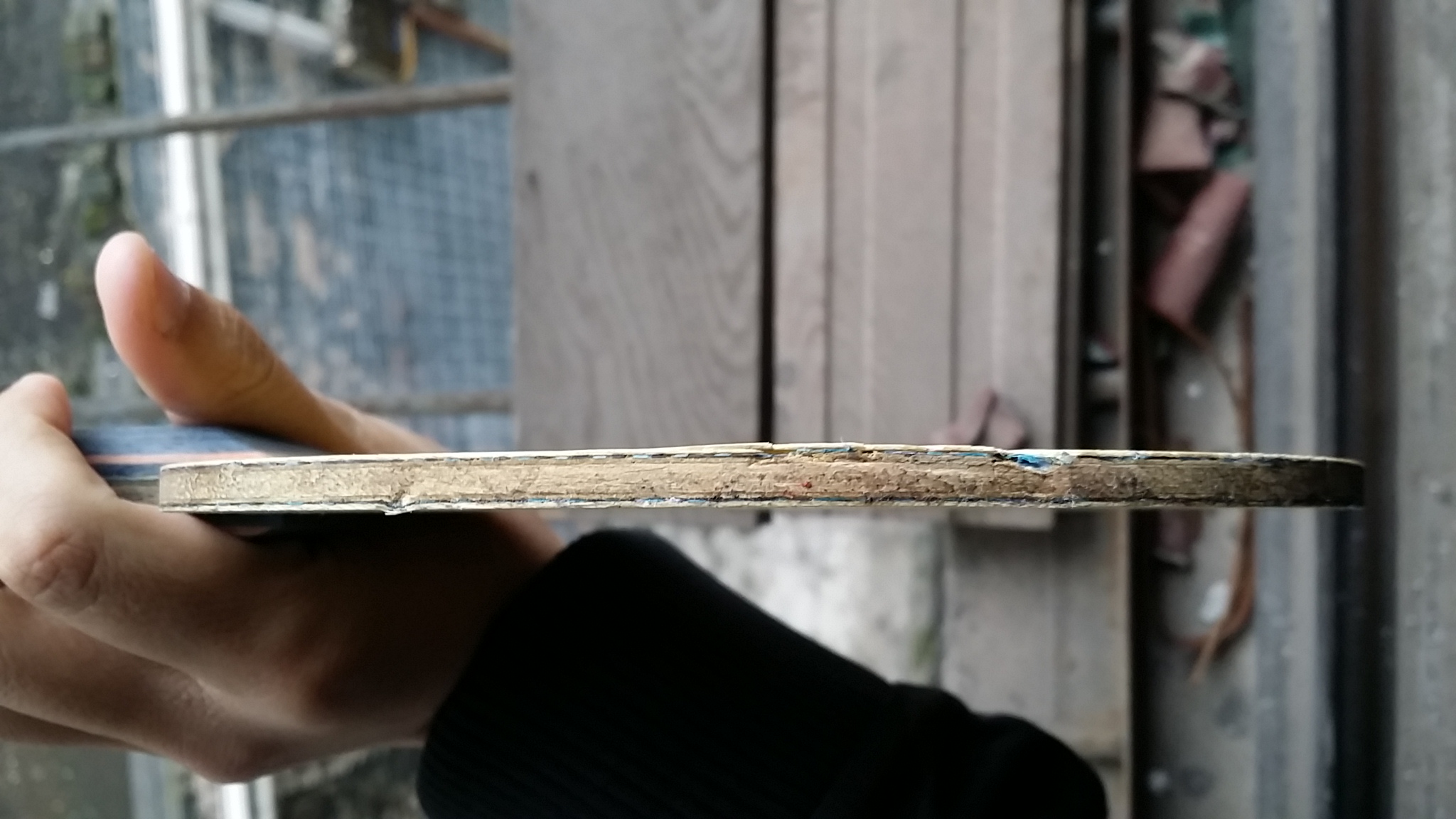 ֹ�ճ���������