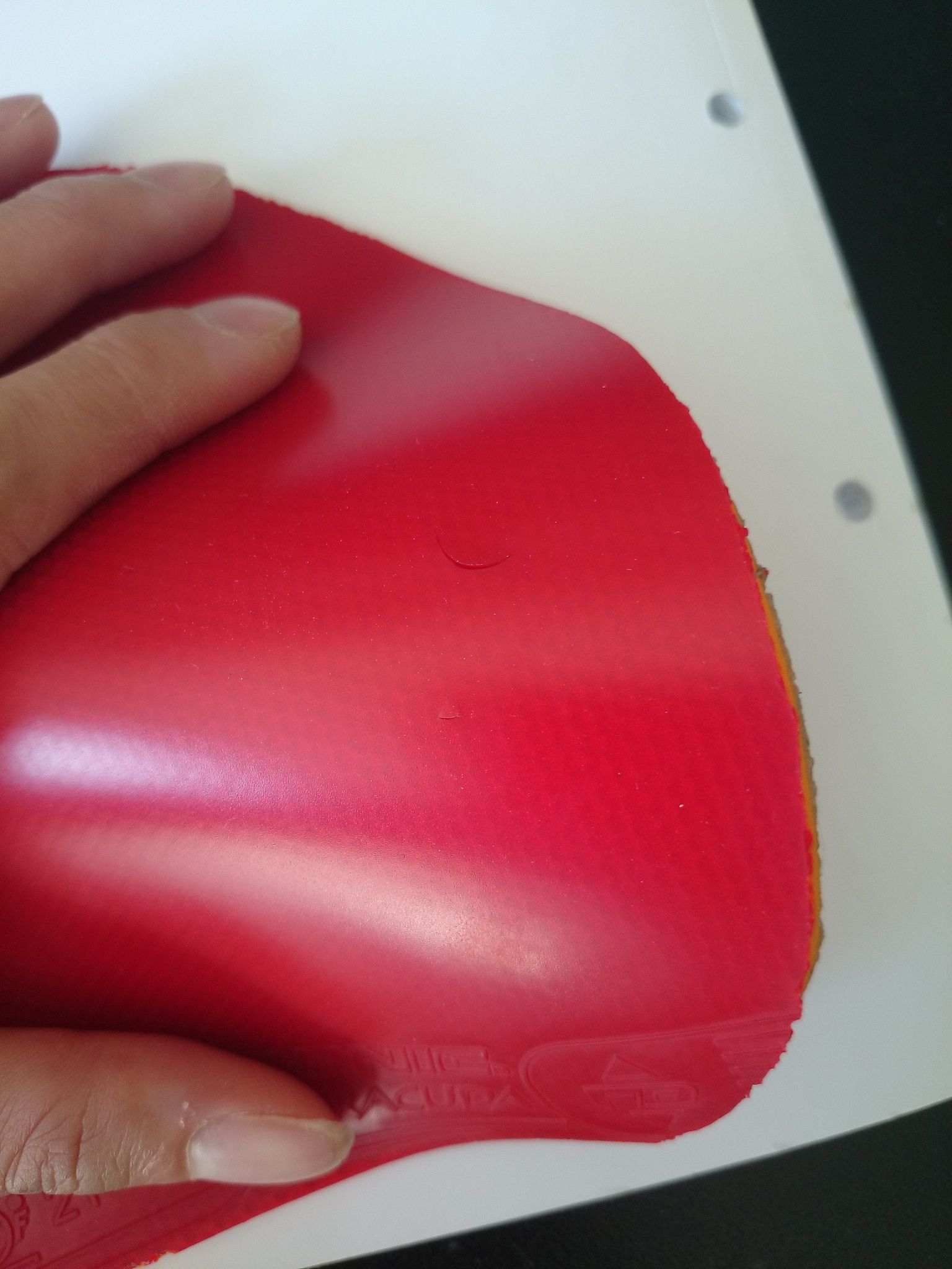 �������Ʒ����ɫ������V+ ��ɫ����˰�������