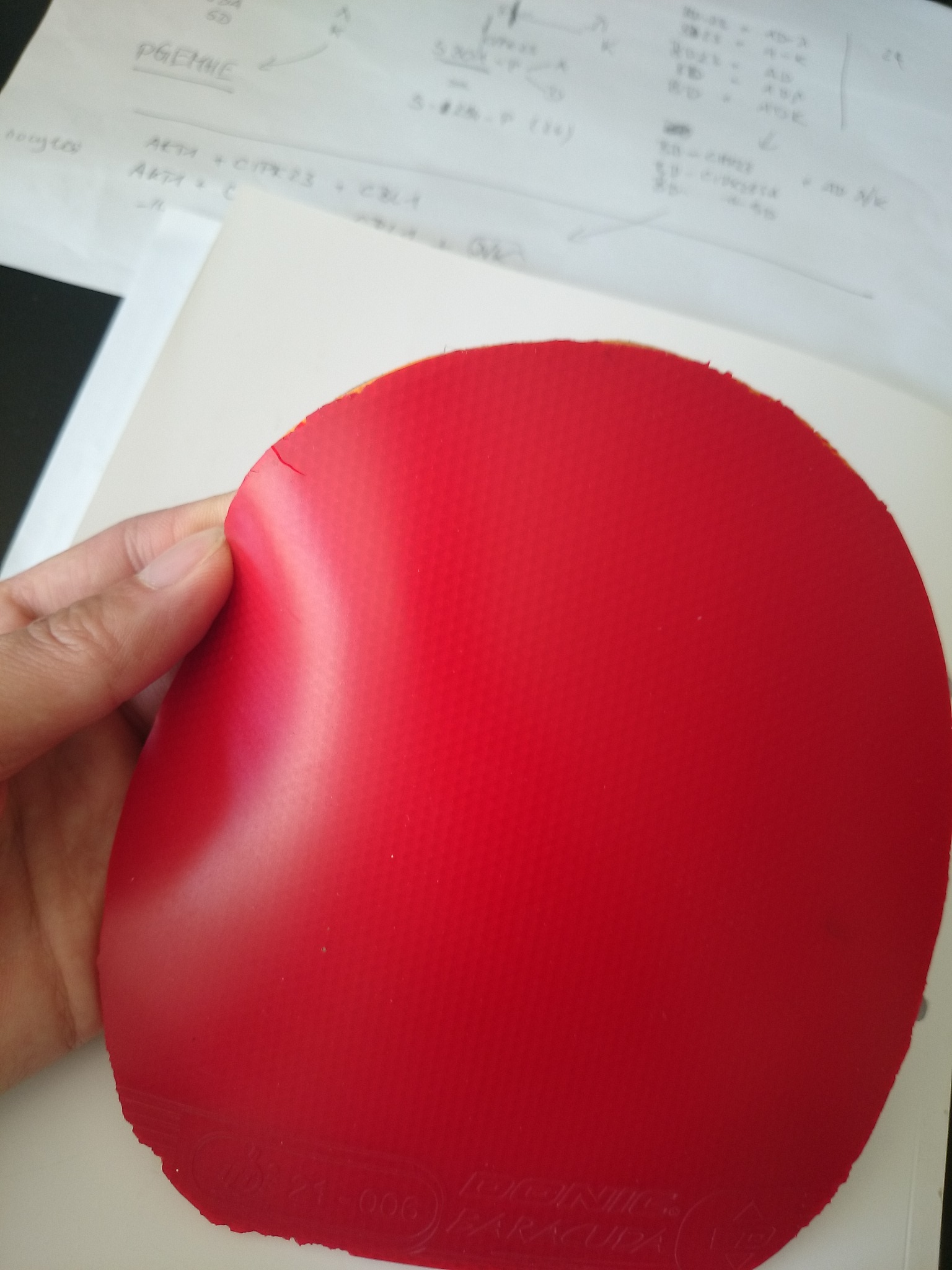 �������Ʒ����ɫ������V+ ��ɫ����˰�������