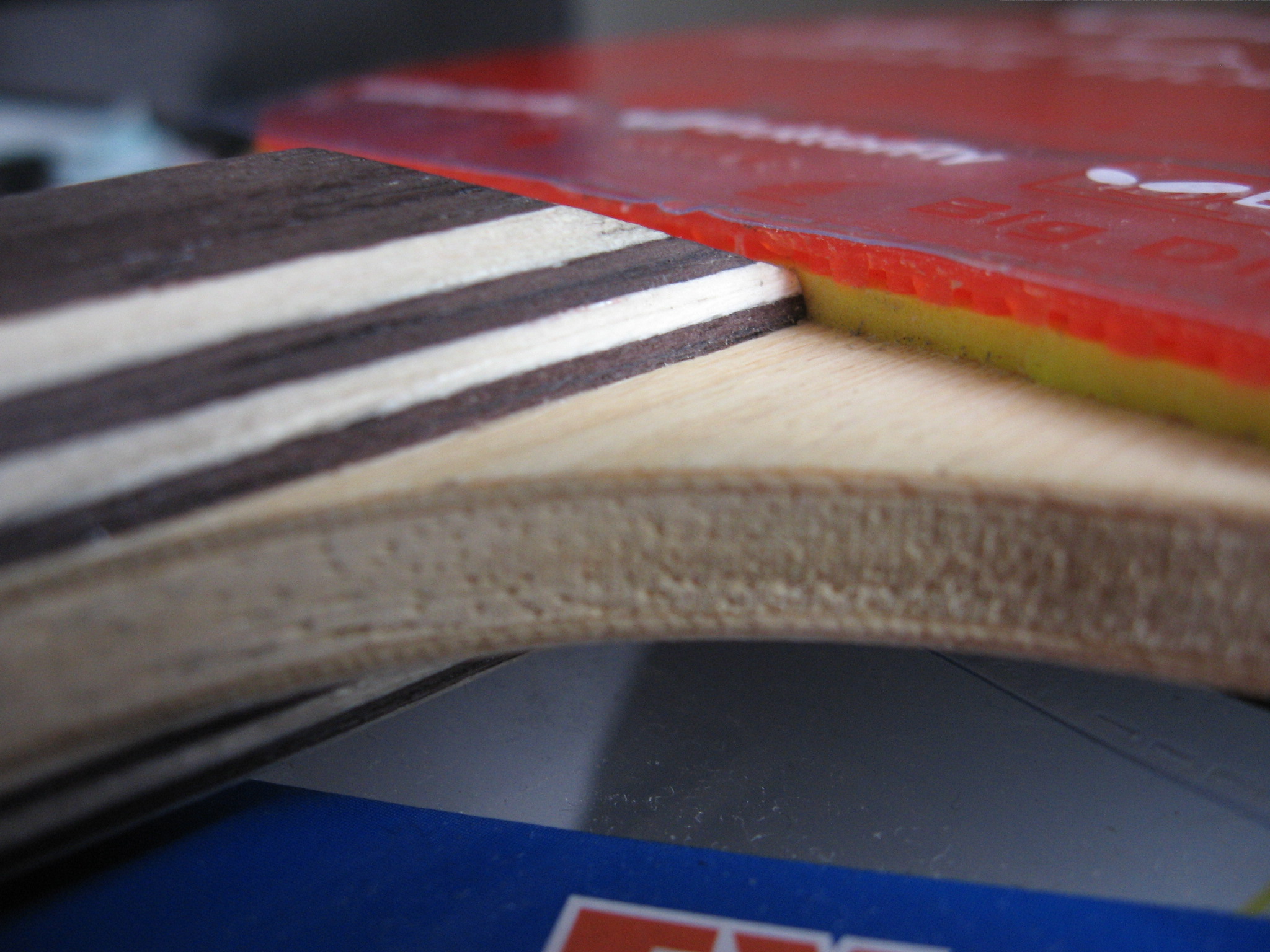 ����978����-----------------�Ի���ľST