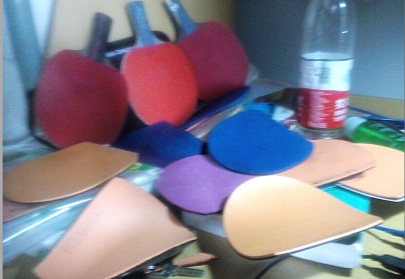 [���]����Ƥ��һ�������켫 �����켫  ʡ�� T05