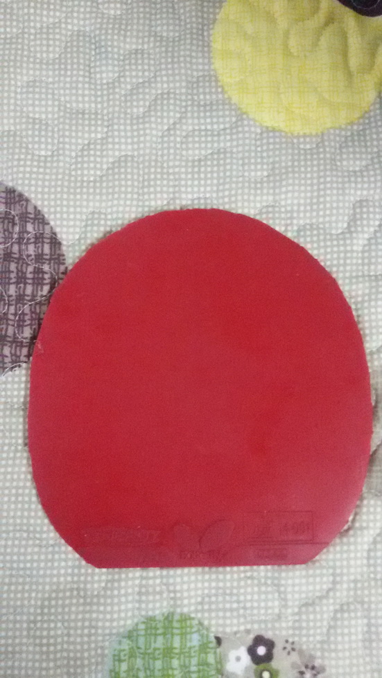 ɫT05