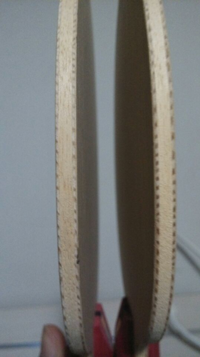 D-J.T.T.A.A .ˮ�ΰ� DONIC WALDNER DICON ST /FL ����