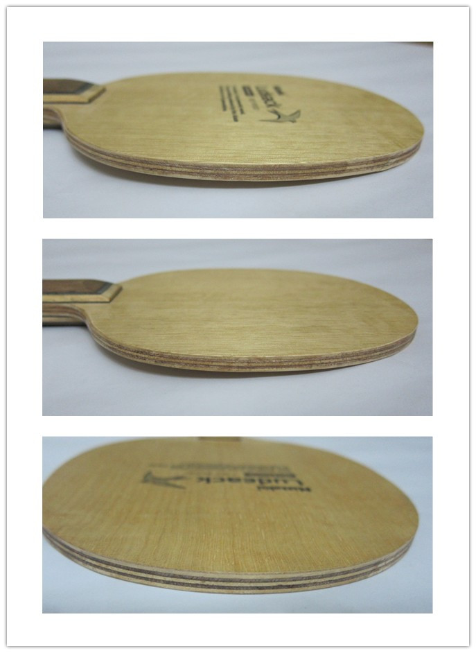 ������ͼ~~~~~~~~~��Ѫ���ۣ�����520���ʳ�����Բ��С��