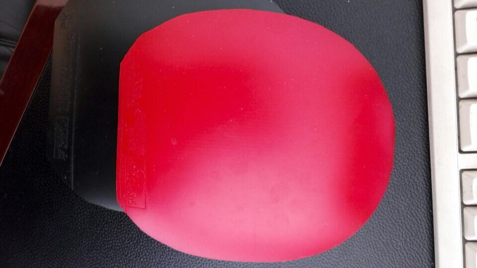 �����һ�ε�˹�ٿ�����һŵ�����켫2