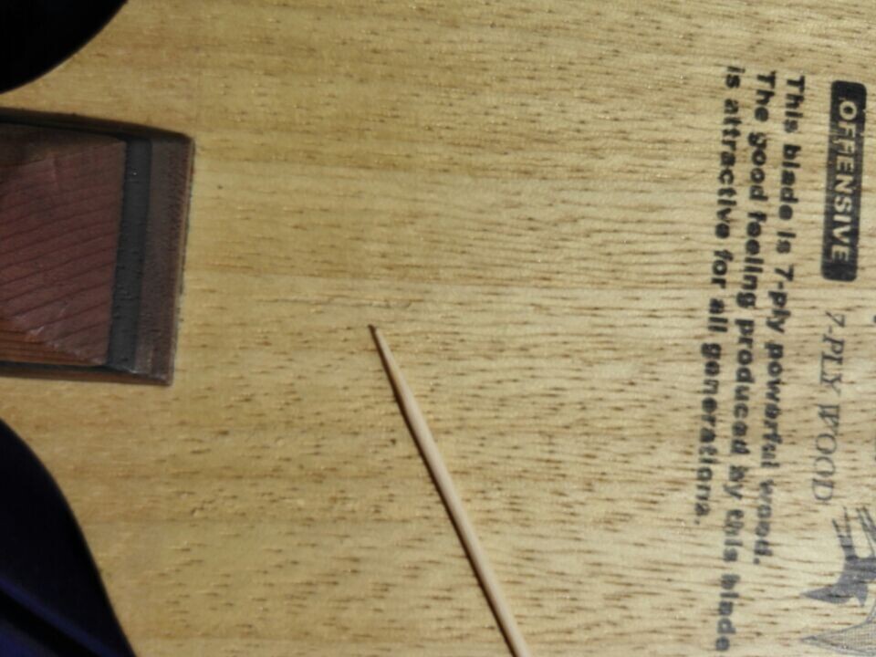 �л������л��Ʊ���