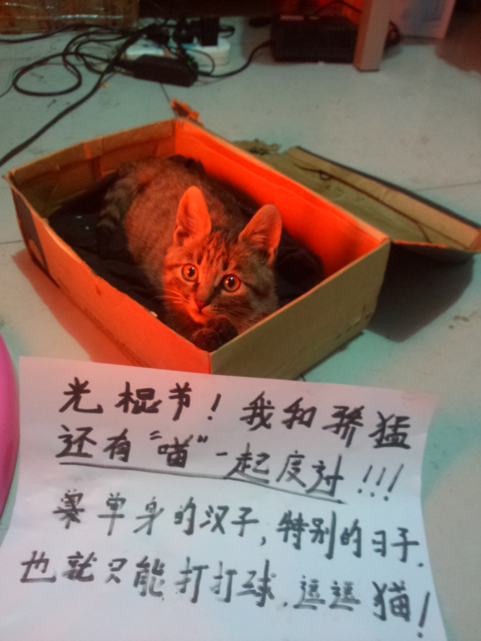 <strong><font color="#ff00ff" size="5">XIOMһ нĻ𱬿</font></strong>