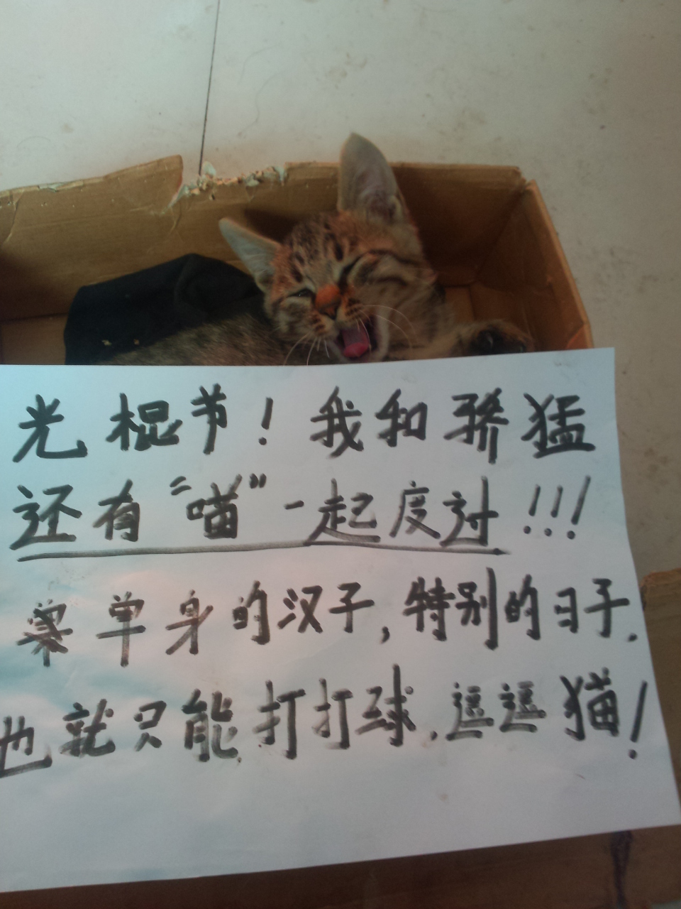 <strong><font color="#ff00ff" size="5">XIOMһ нĻ𱬿</font></strong>