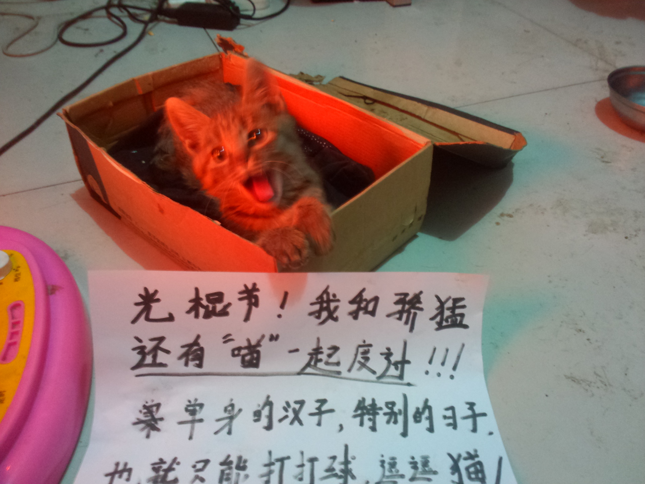 <strong><font color="#ff00ff" size="5">XIOMһ нĻ𱬿</font></strong>