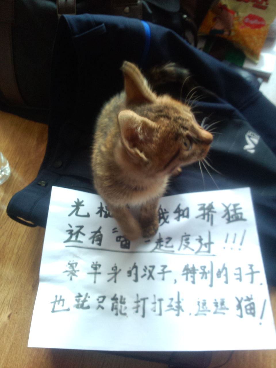 <strong><font color="#ff00ff" size="5">XIOMһ нĻ𱬿</font></strong>