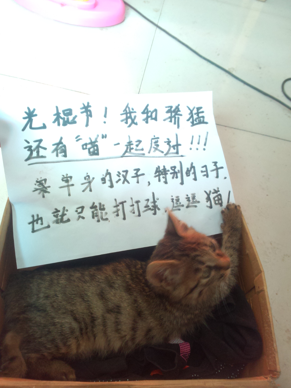 <strong><font color="#ff00ff" size="5">XIOMһ нĻ𱬿</font></strong>