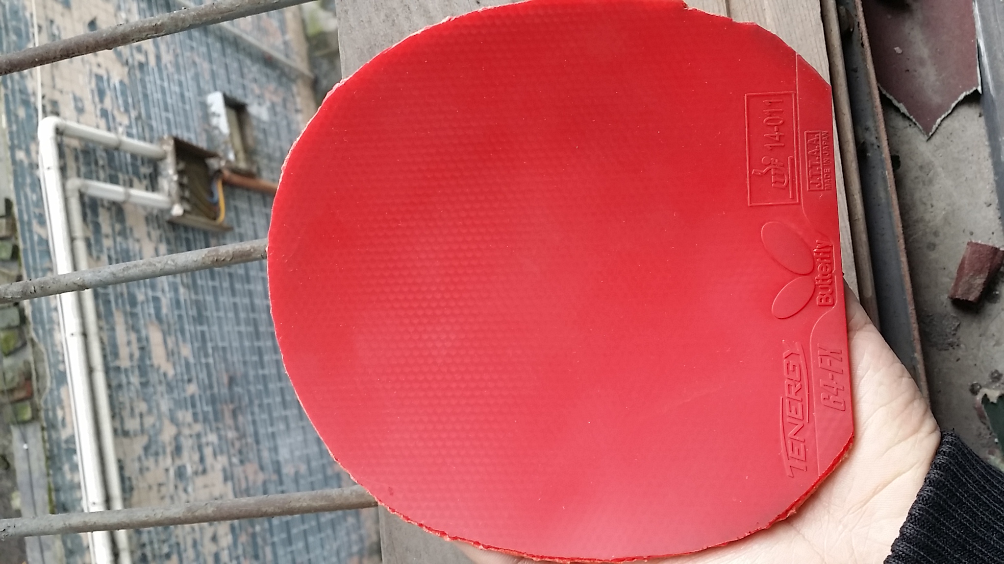 ������˳����Ÿ߶��׽�