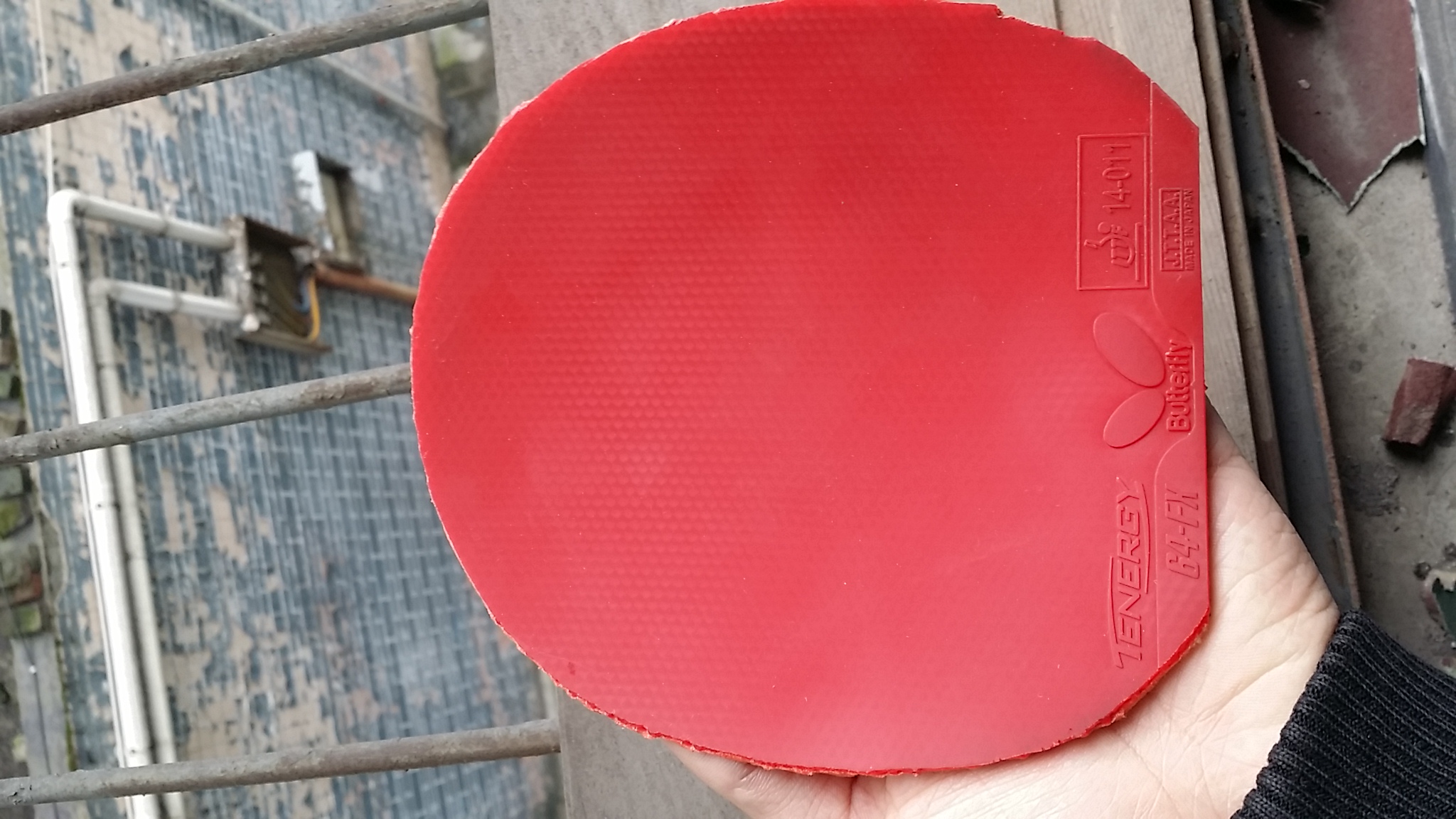 ������˳����Ÿ߶��׽�