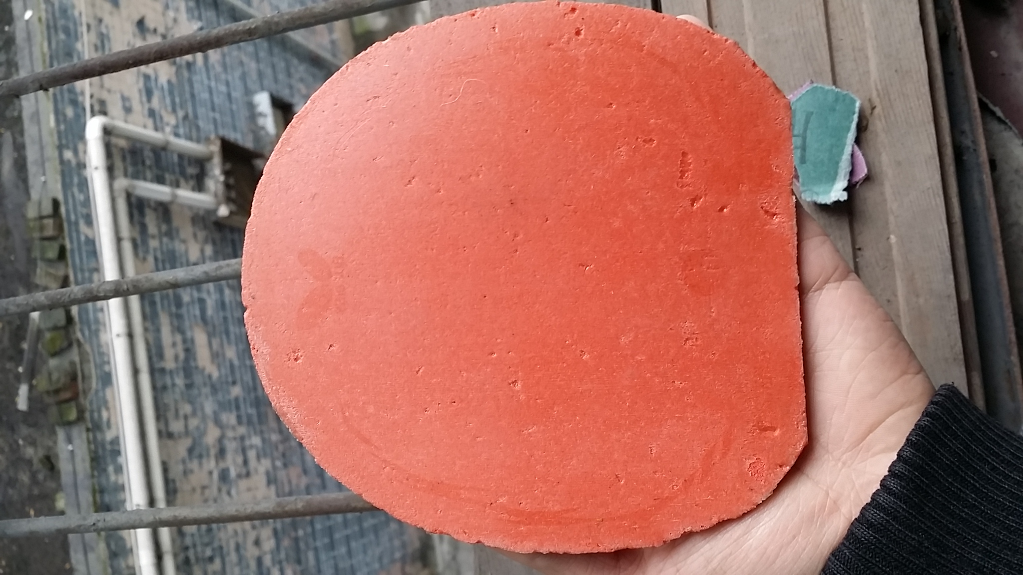 ������˳����Ÿ߶��׽�