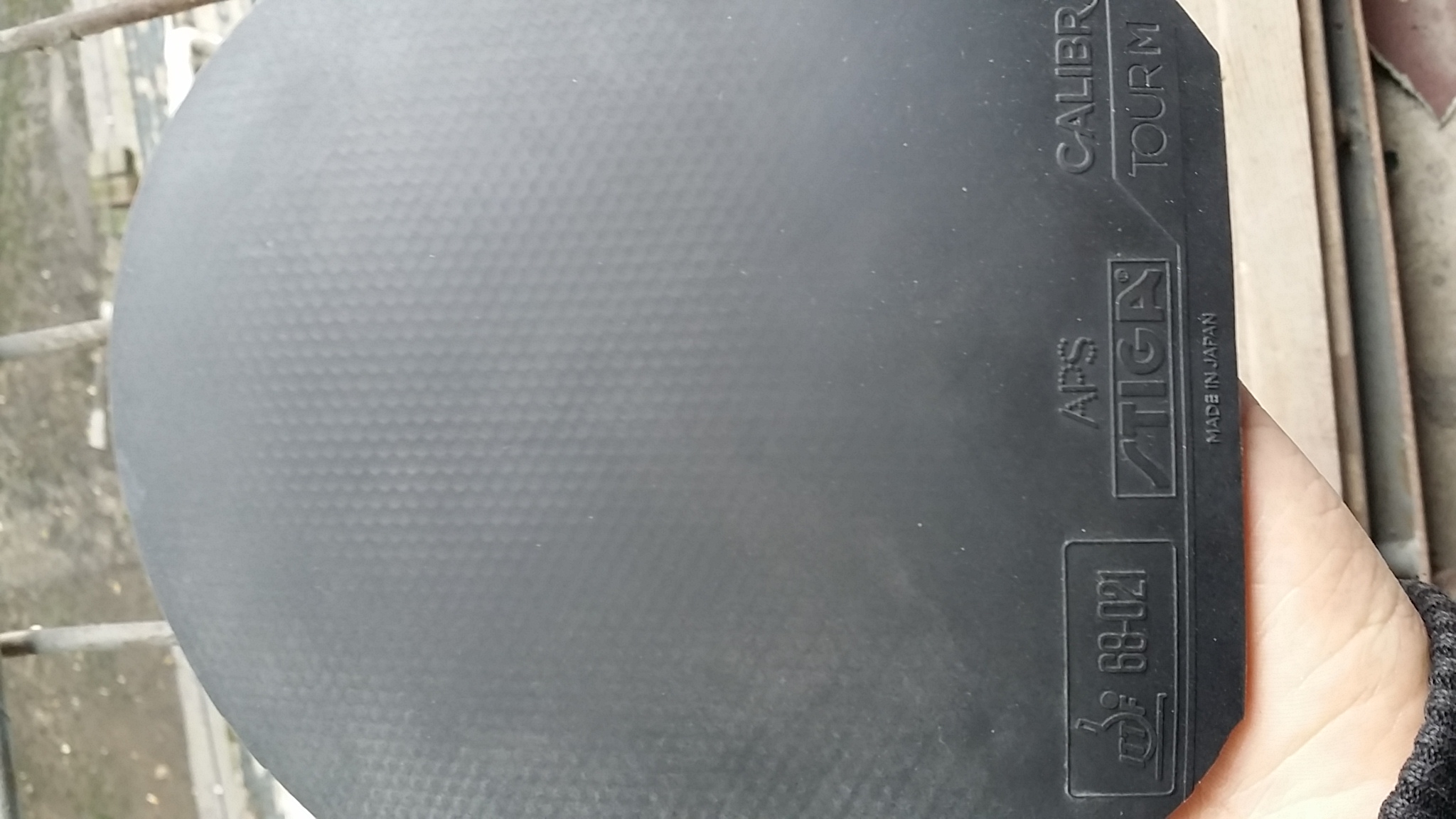 ������˳����Ÿ߶��׽�