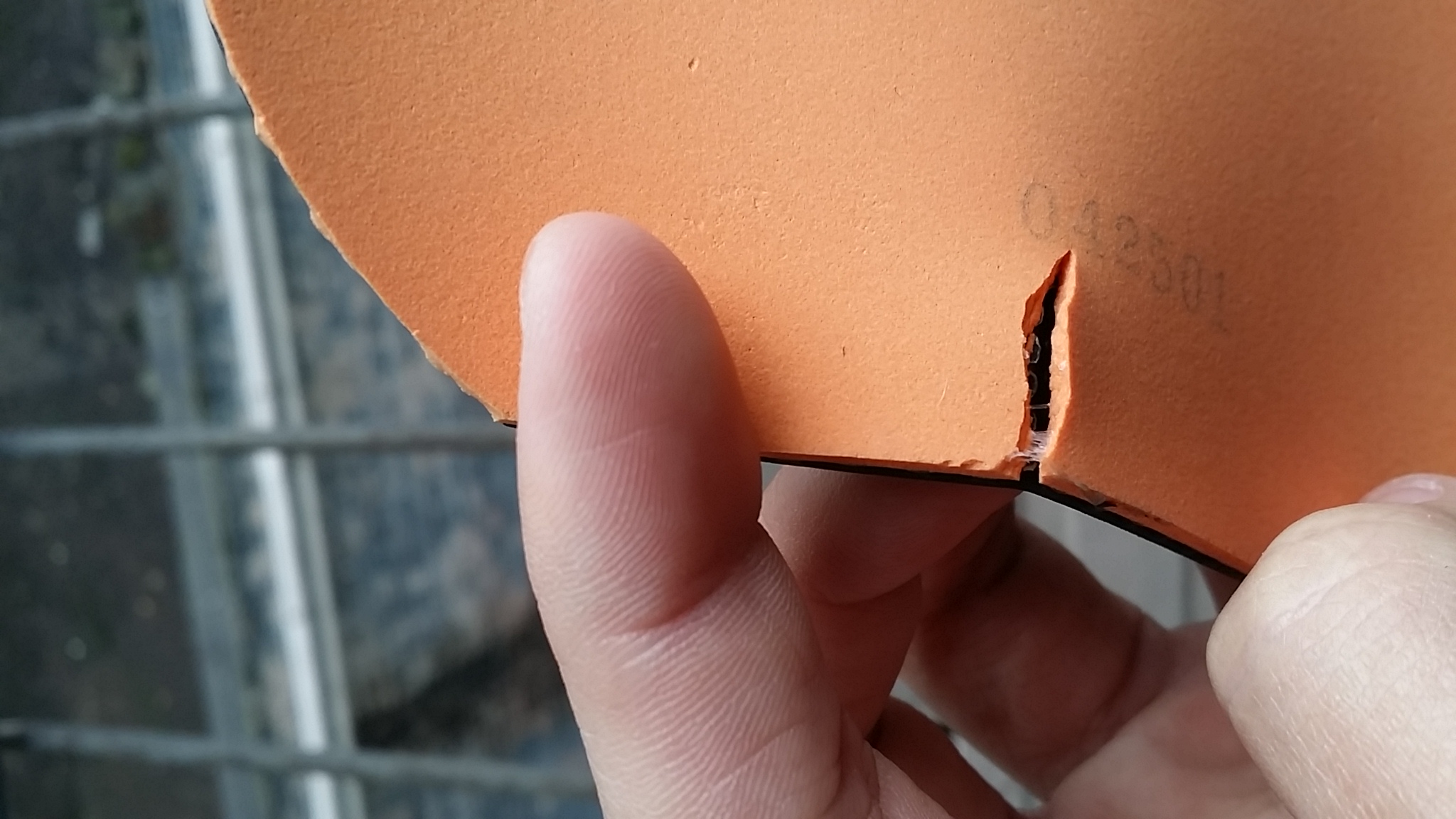 ������˳����Ÿ߶��׽�