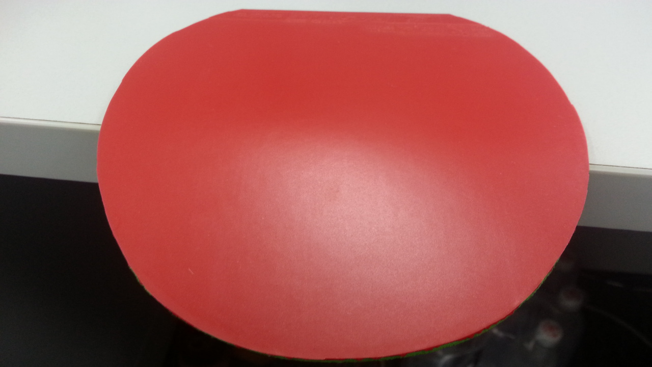 ��ɷRasant PG/Yasaka R7 soft