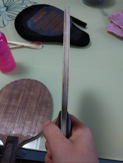 FL ���� ˼��ͼ ��FL ��ľ8.5M˫����