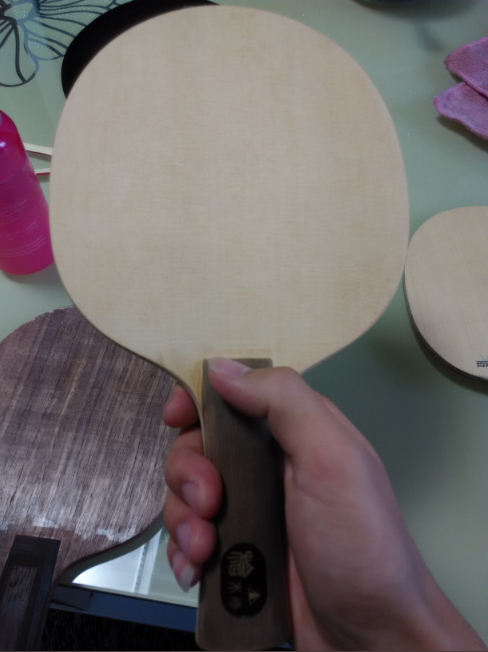 FL ���� ˼��ͼ ��FL ��ľ8.5M˫����