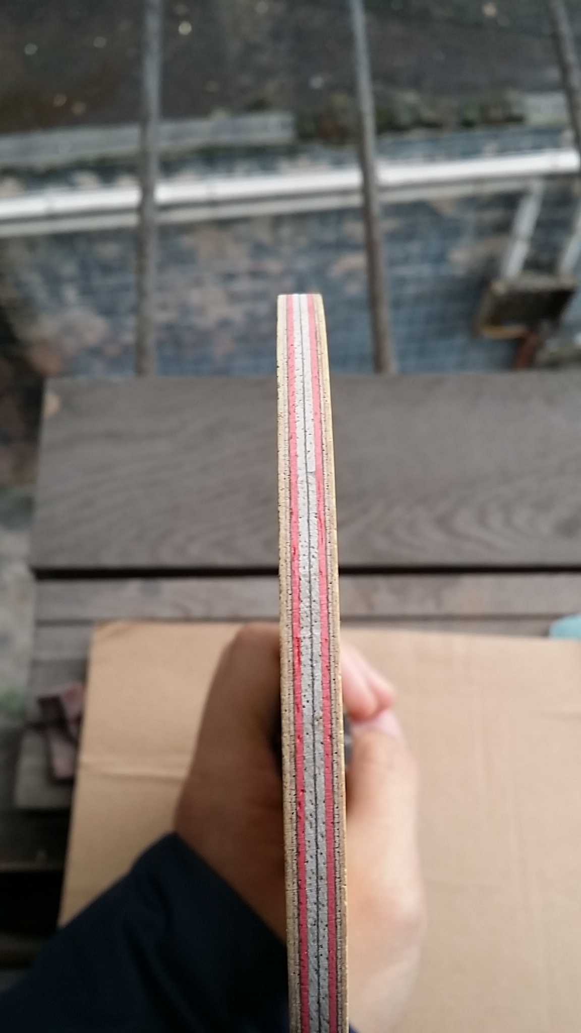 ��һֻCL��ͦ����̼��