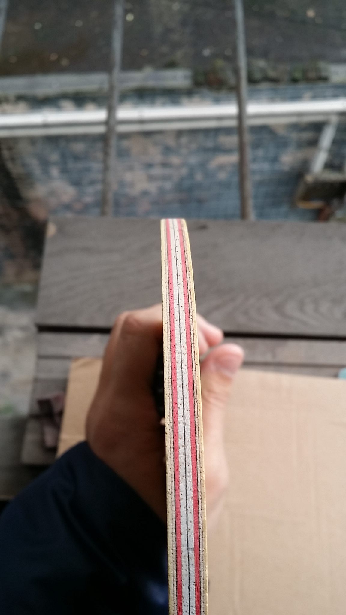 ��һֻCL��ͦ����̼��