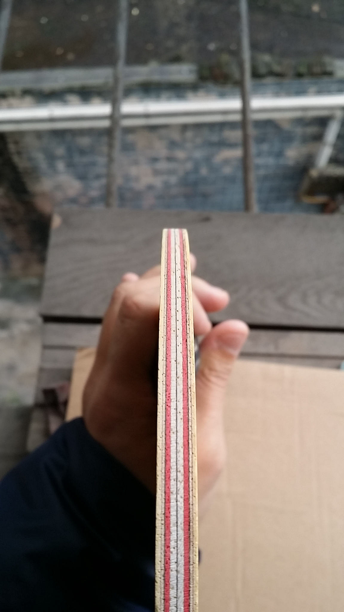 ��һֻCL��ͦ����̼��