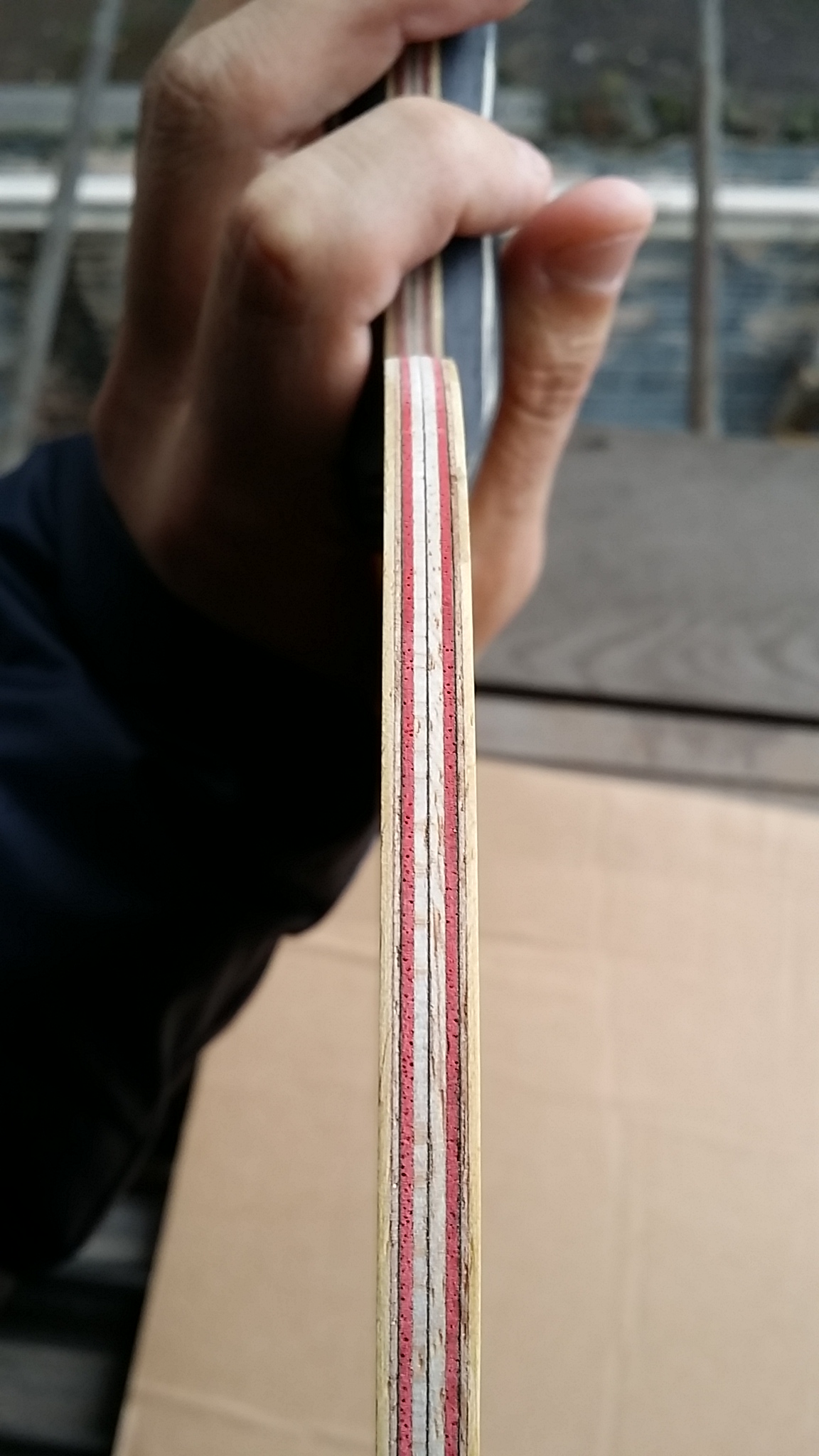 ��һֻCL��ͦ����̼��