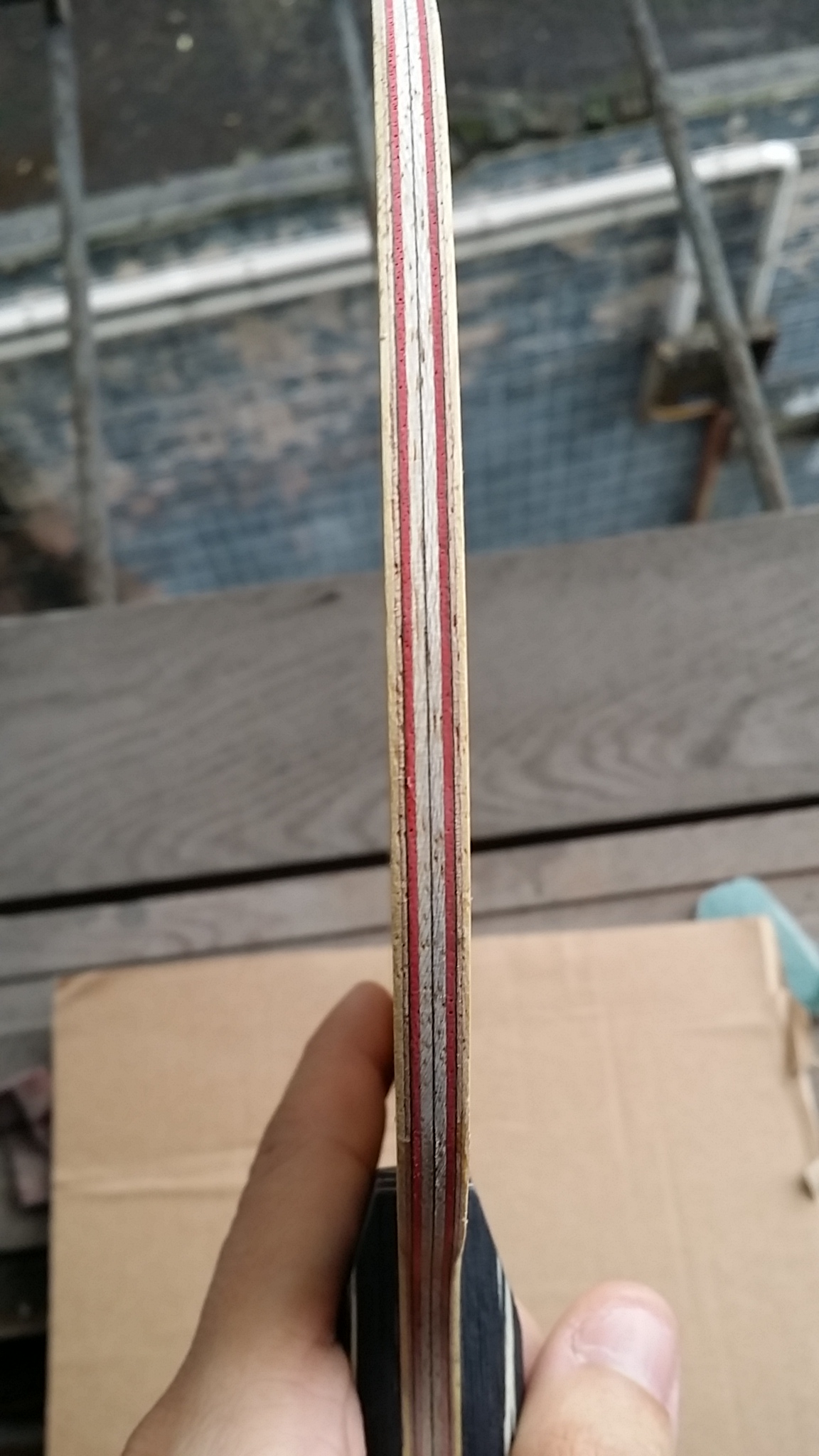 ��һֻCL��ͦ����̼��