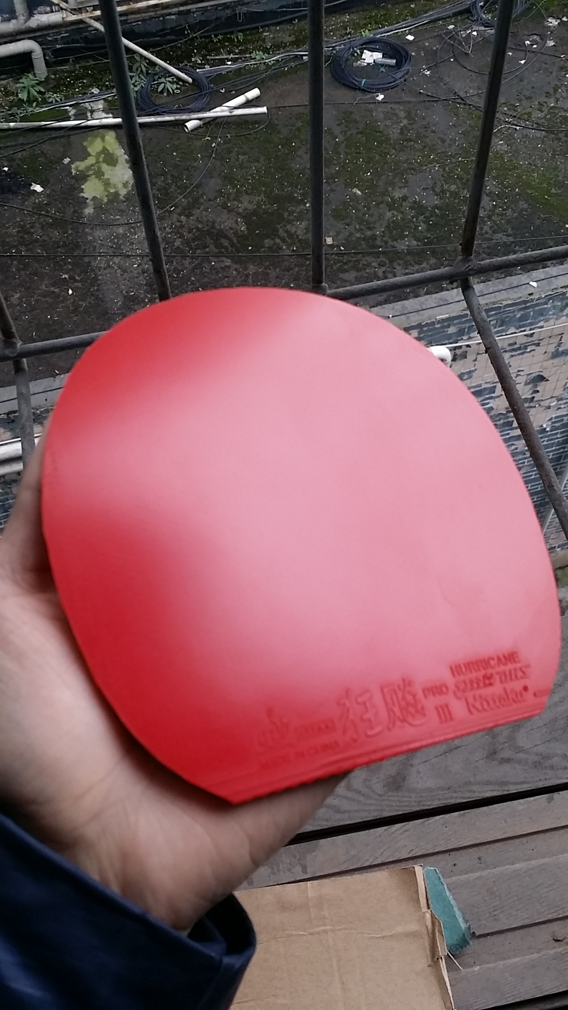 ��һ��ֻ������ε� ��������pro