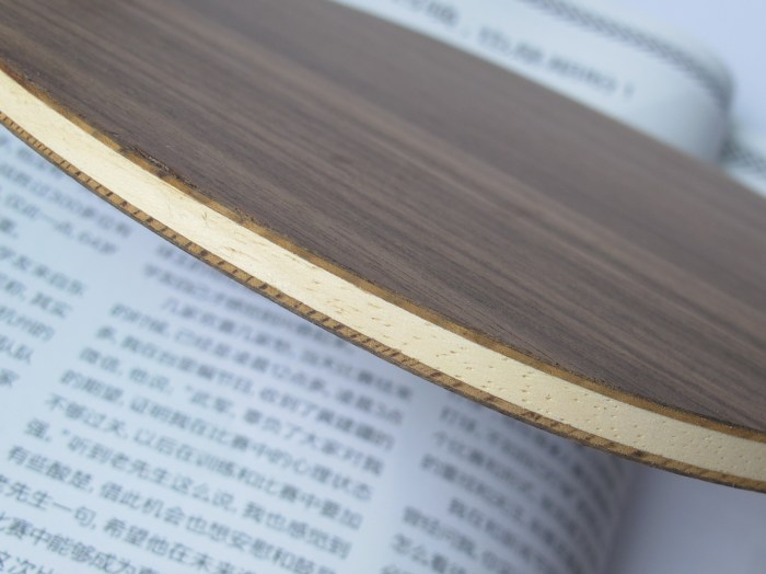 ��һֻ˹�ۿ� ST�� ���5���,Ʒ��Ư��,��֧����