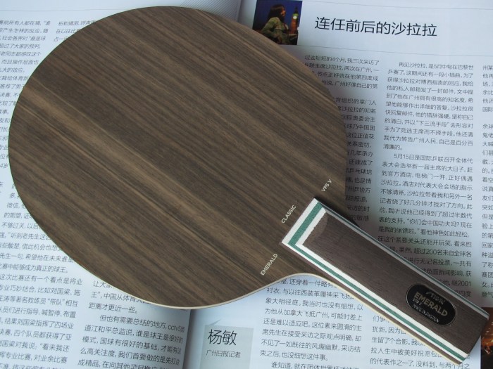 ��һֻ˹�ۿ� ST�� ���5���,Ʒ��Ư��,��֧����