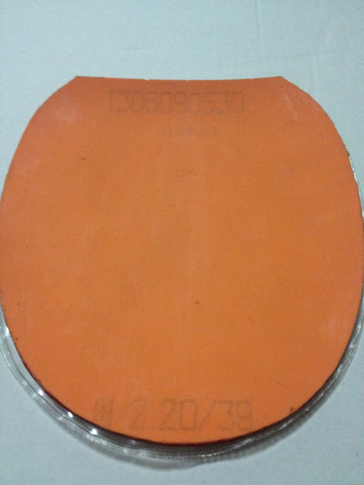 �����ѳ���ɫ����ͽ���