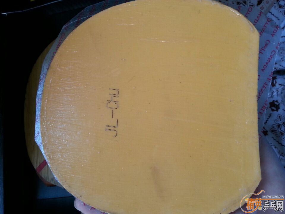 �����ƹ��� 1 ��1��  ����EL  ��  T05