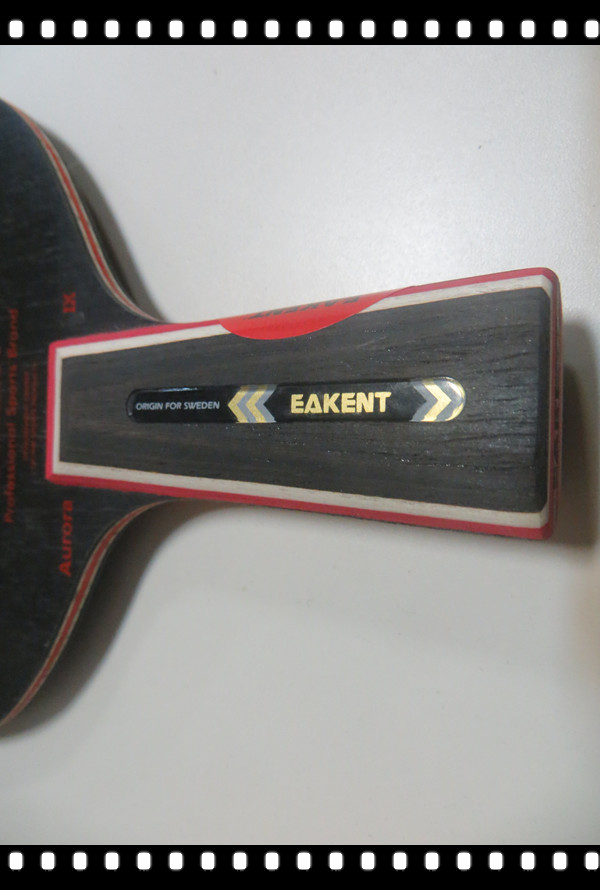 �����ڼ���A2�Դ򱨸桪�����ƪ