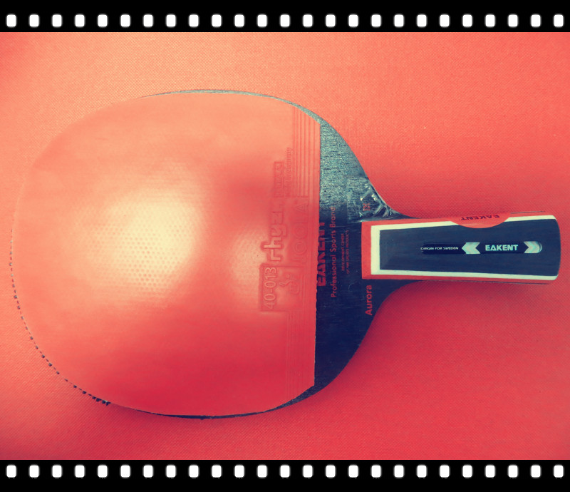 �����ڼ���A2�Դ򱨸桪�����ƪ