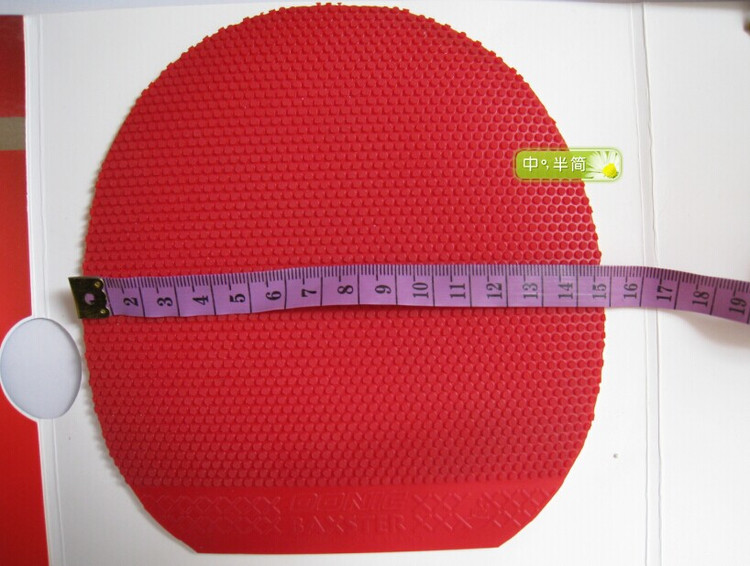 ��9���¶�������������죩