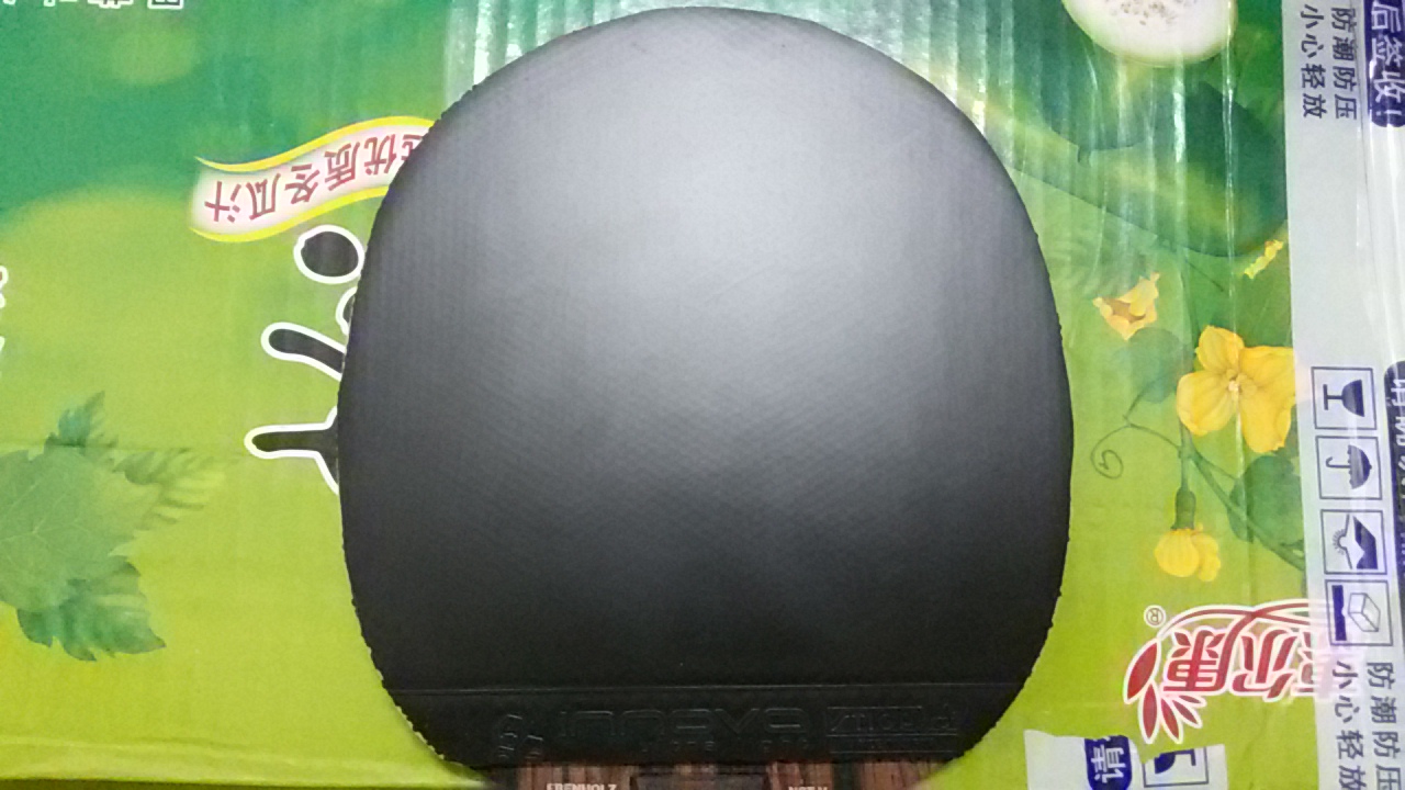 Ӣ++ŵ