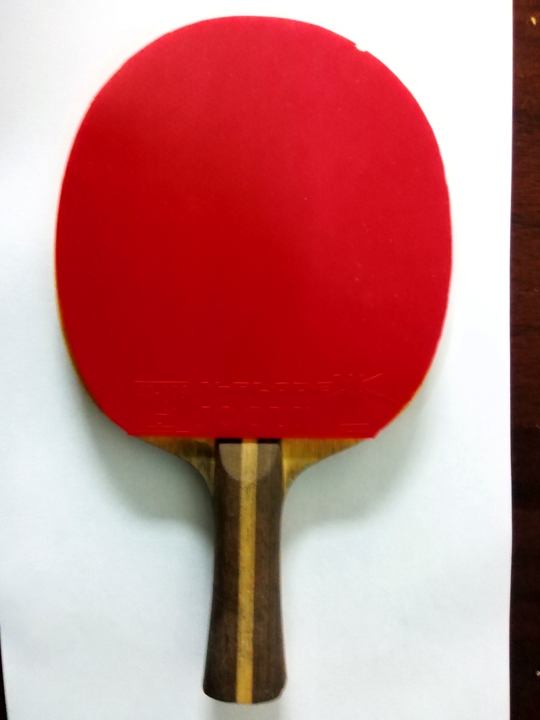 ������ľ�ͽ���̼��