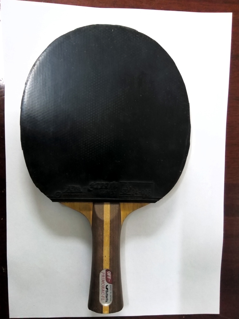 ������ľ�ͽ���̼��